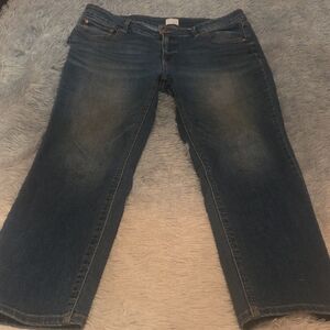Time and Tru Women's Dark Blue Size 16 Short, Jeans.